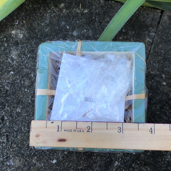 VTG Pfaltzgraff Potshot “Naturewood” Frame - Picture 6 of 10